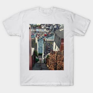 BRIXHAM STEPS T-Shirt